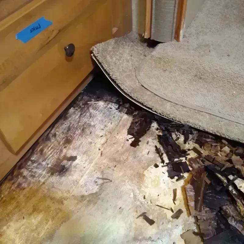 Best Wood Floor Water Damage Service in Casselberry, FL